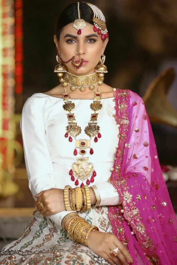 Reshma Set - Heirloom Collection 2019 Swavo Collection